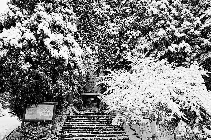 f0032011_20083940.jpg