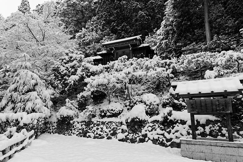 f0032011_20083969.jpg