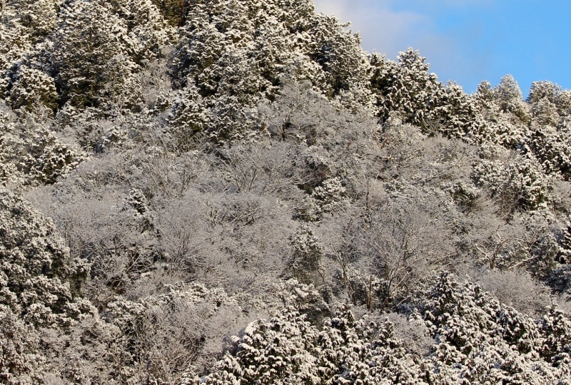 d0361112_19153892.jpg