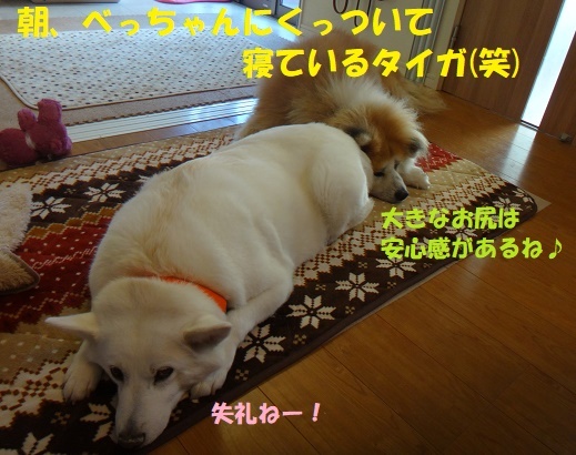 f0121712_00264636.jpg