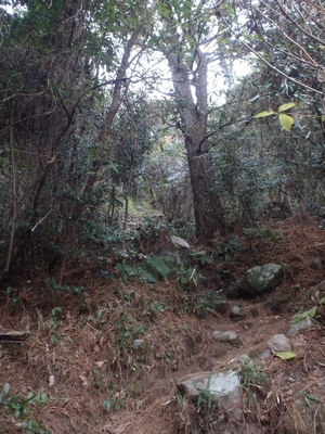 f0193521_2019935.jpg