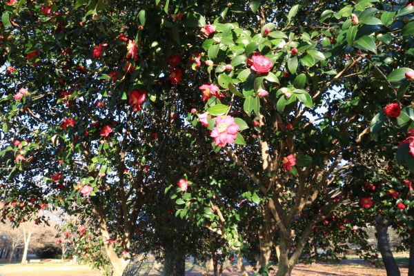 f0229832_10152000.jpg