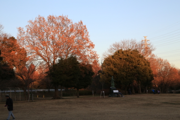 f0229832_10153889.jpg