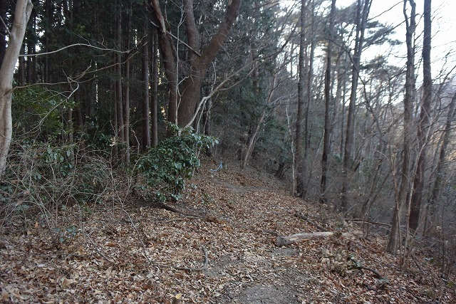 リュウゴッパナ(494m)・物見山(460m)・タカハタ(408m)_b0341133_23254547.jpg