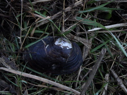 a0123836_16541286.jpg