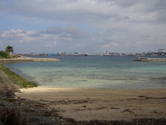 a0157637_08205748.jpg