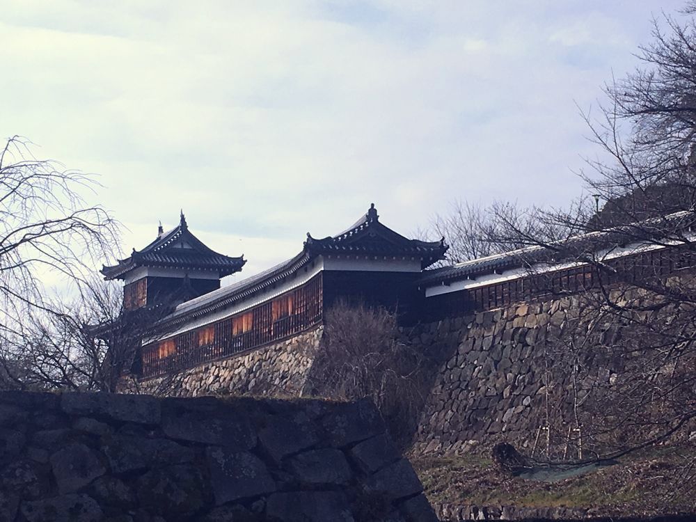 a0237937_22255997.jpg