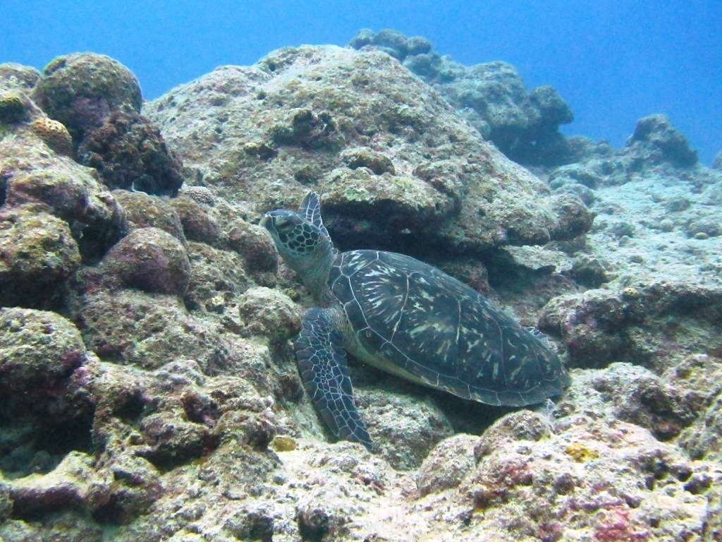 a0189838_18421093.jpg