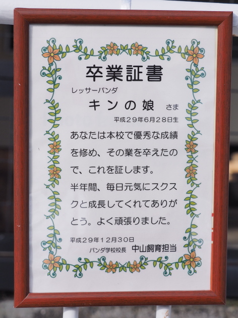 a0149740_04033029.jpg