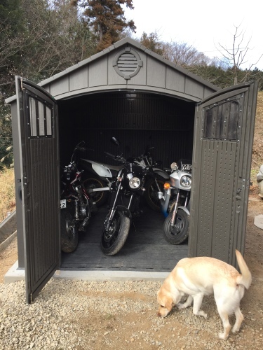 明けましておめでとうございます!_c0331145_22264850.jpg