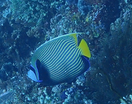 d0168345_19180124.jpg