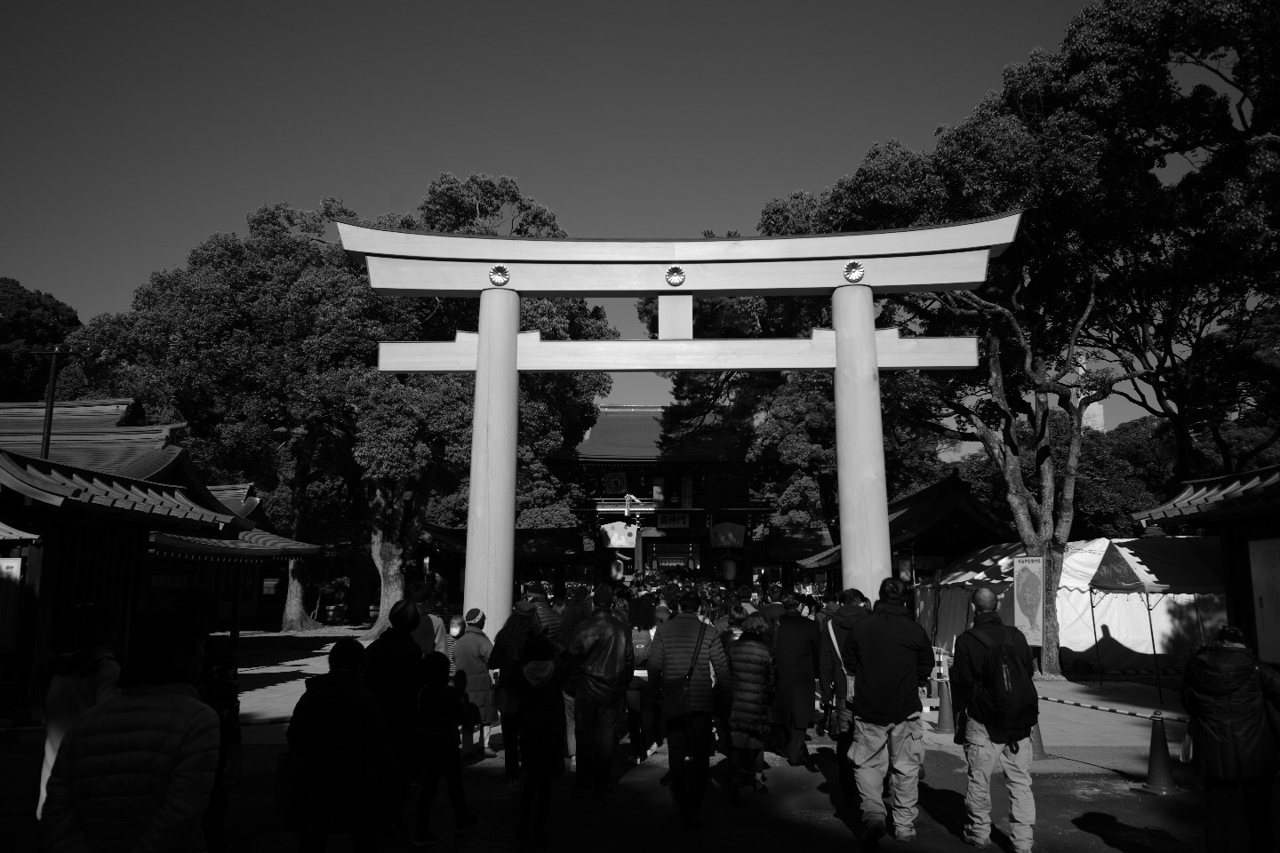 初詣_b0315547_00263626.jpeg