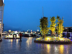 b0117348_15531566.jpg