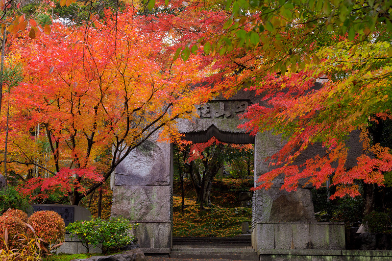 京都の紅葉2017 散りゆく秋（苗秀寺・後編）_f0155048_21144165.jpg