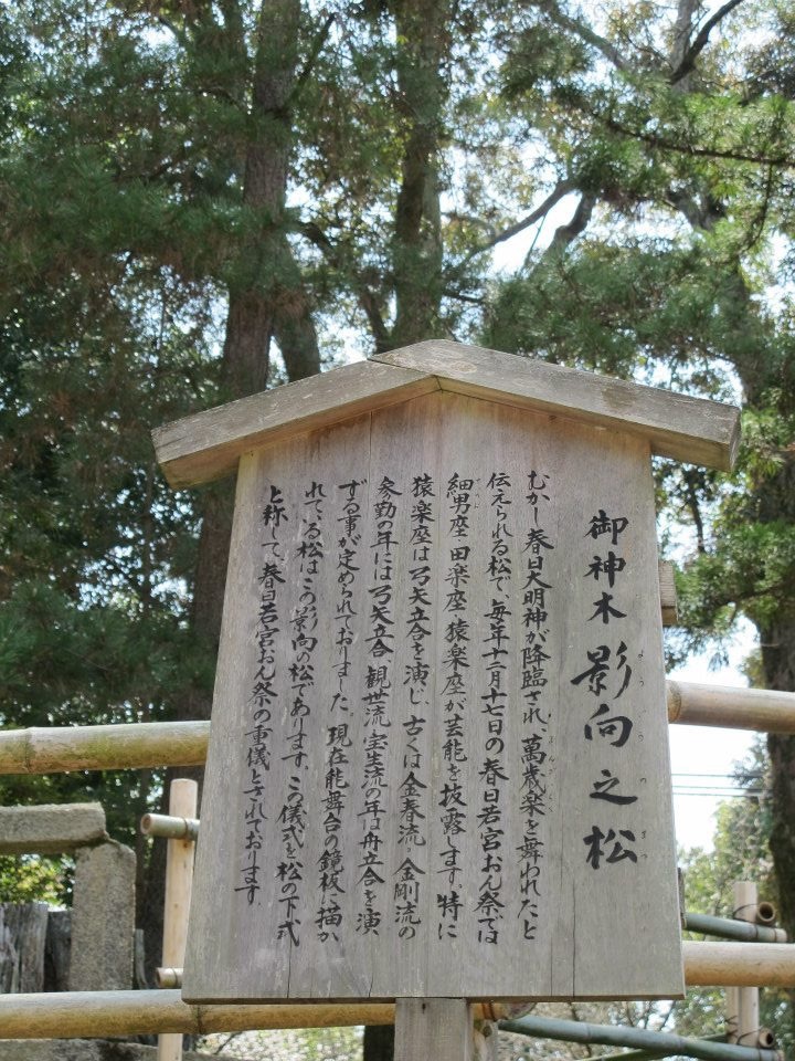 鏡板_f0389753_18370076.jpeg