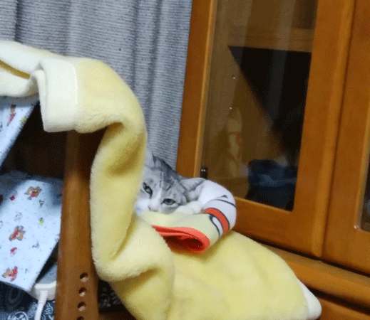 e0001558_11140997.gif