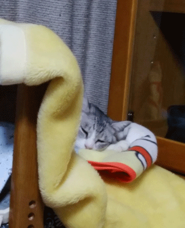 e0001558_11142932.gif