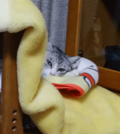 e0001558_11144336.gif