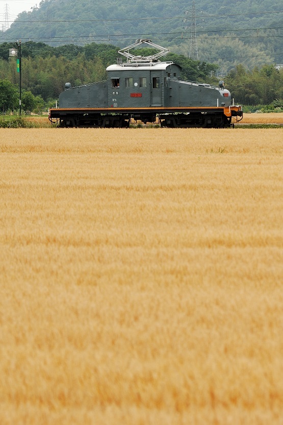 d0336159_17450389.jpg