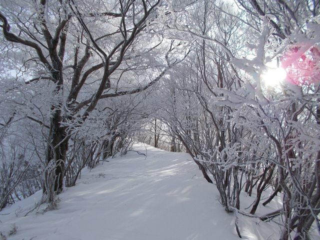 2018.1.7 国見山1409ｍ_c0219866_18011175.jpg