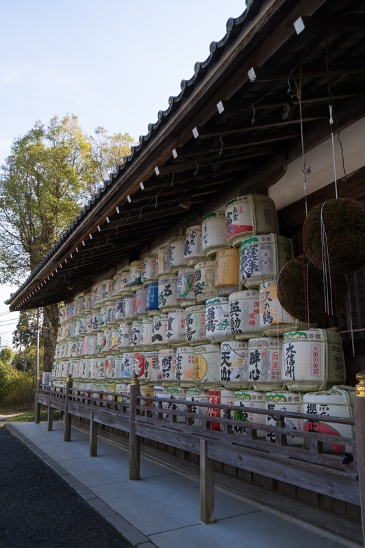 京都　松尾大社_f0080267_13181591.jpg