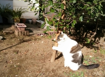 誰からも護られていないと_f0325471_22273557.jpg