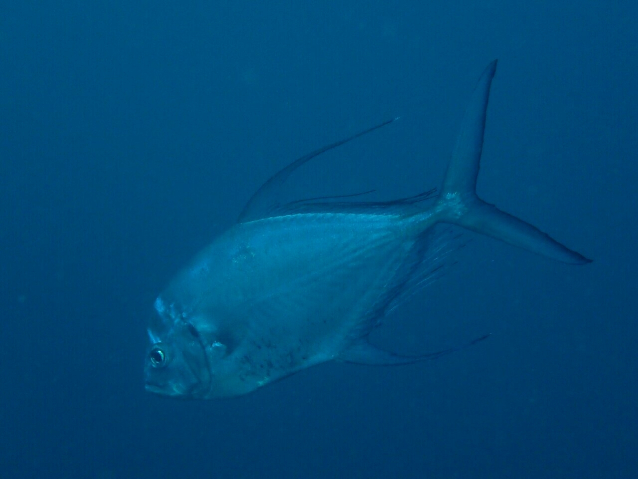 c0039073_20505474.jpg