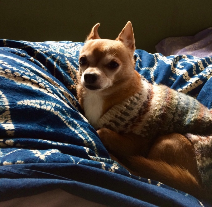 a0236675_11111825.jpeg
