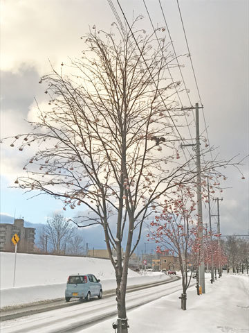 f0083977_15220028.jpg