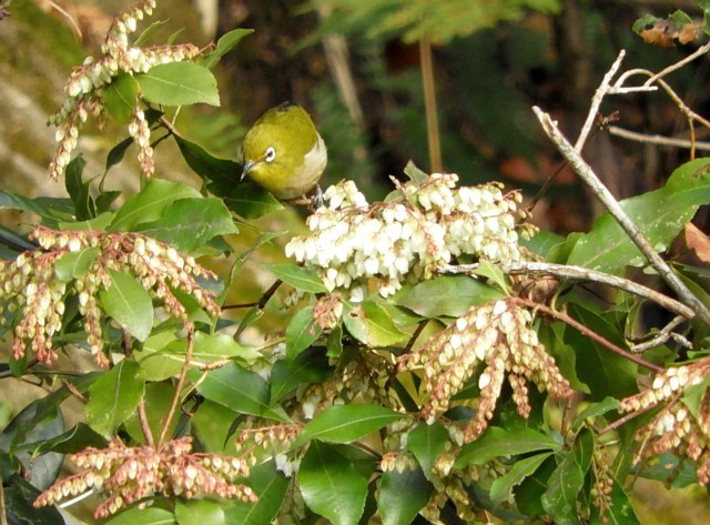 f0378979_18335434.jpg