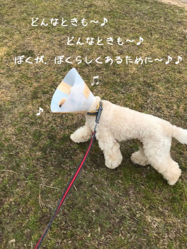 a0216583_11121348.png