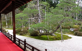 e0060483_22481339.jpg