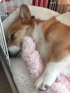 あけましておめでとうございます_e0081284_02062807.jpg