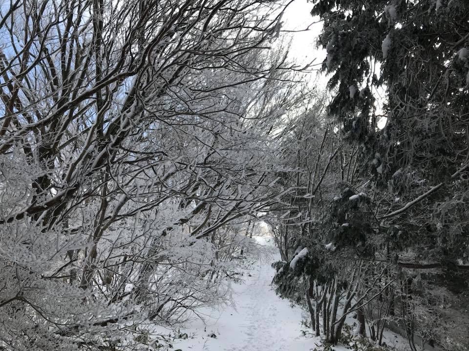 c0168986_13300558.jpg