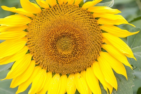 e0176993_07273139.jpg