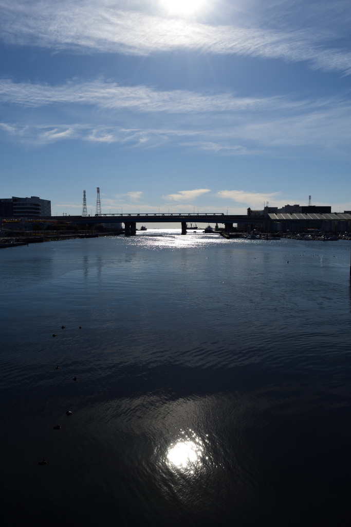 f0166997_20563918.jpg