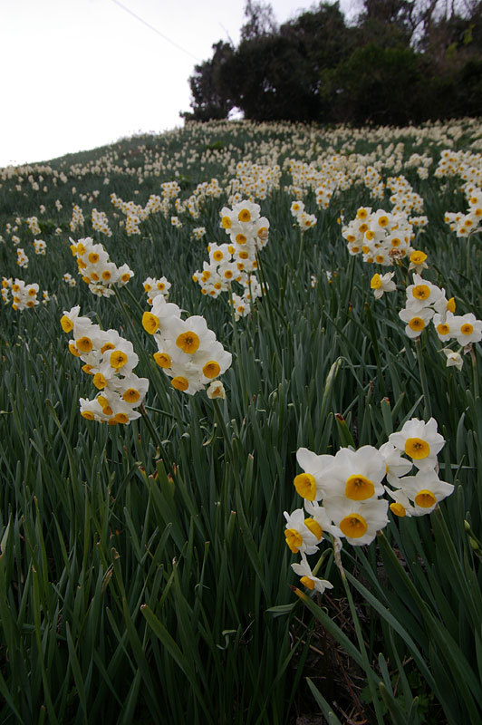 c0382798_11543646.jpg