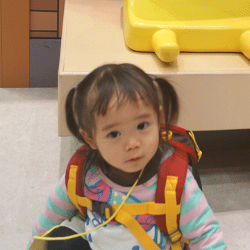 b0162000_06453729.gif
