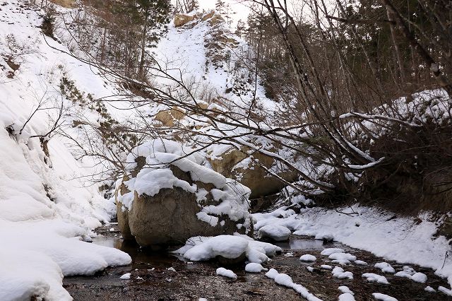 e0137200_16452029.jpg