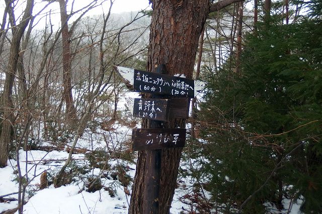 e0137200_16474880.jpg