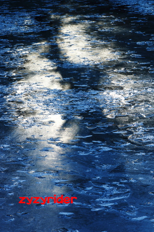 a0329801_04484303.jpg