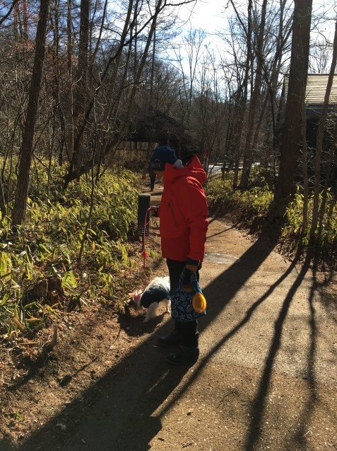 f0034602_17494762.jpeg