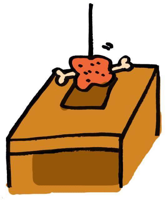 穴を掘る動物といえば・・・『〇イ〇ン』！？_c0290504_13521183.jpeg