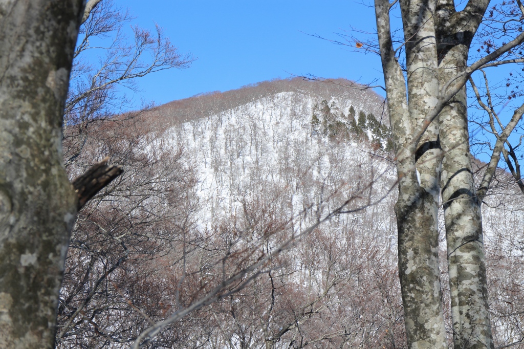 2018.01.07 まったりと山始め（北泉ヶ岳）_b0050305_1638578.jpg