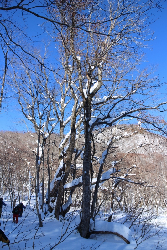 2018.01.07 まったりと山始め（北泉ヶ岳）_b0050305_16502211.jpg