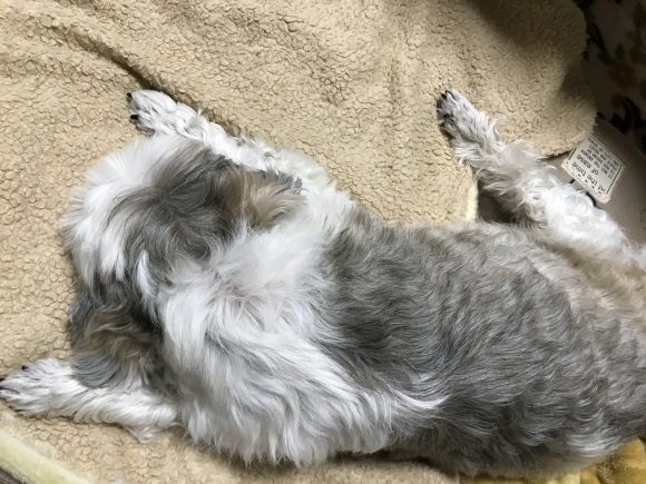 b0061107_15062679.jpeg