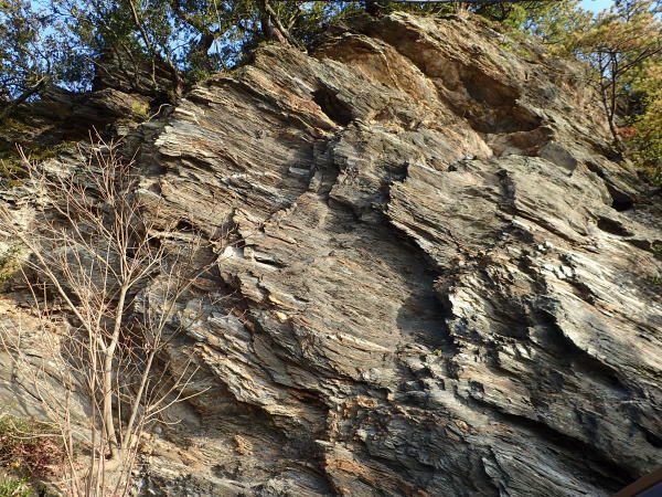 c0367107_16094953.jpg