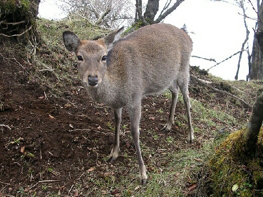 a0300410_09231361.jpg