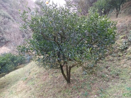 a0300410_09232811.jpg