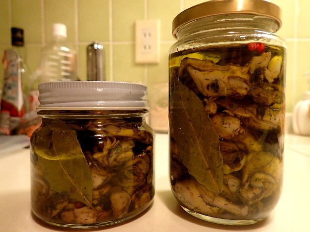 f0043911_00142859.jpg